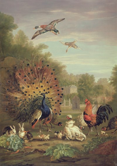 Pavone e conigli in un paesaggio da Pieter Casteels